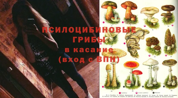 мдпв Краснослободск