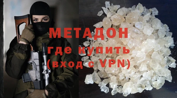 прущие грибы Долгопрудный